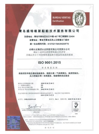 VES - ISO-9001-2015 - 中文