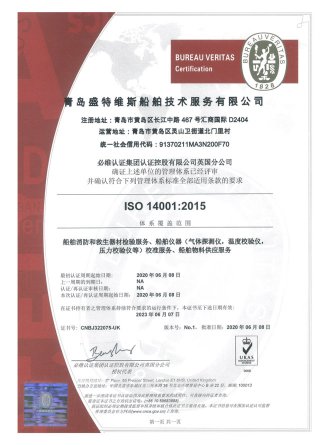 VES - ISO-14001-2015 - 中文